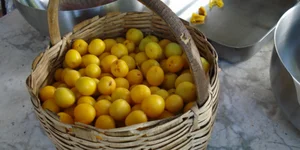KOROMILA