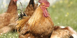 ΦΩΤΟΓΡΑΦΙΑ: EUROKINISSI / ΝΙΚΟΛΟΠΟΥΛΟΣ ΑΝΤΩΝΗΣ