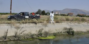Μειώνονται τα παράπονα των πολιτών για οχλήσεις από τα κουνούπια (Φωτογραφία: Eurokinissi-ΠΑΠΑΔΟΠΟΥΛΟΣ ΒΑΣΙΛΗΣ)