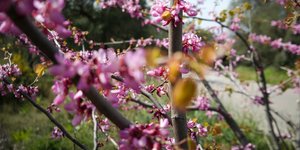 Στους 23 βαθμούς η θερμοκρασία τη Μεγάλη Πέμπτη (Φωτογραφία: EUROKINISSI/ΚΟΝΤΑΡΙΝΗΣ ΓΙΩΡΓΟΣ )