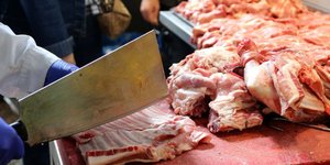 ΦΩΤΟΓΡΑΦΙΑ ΑΡΧΕΙΟΥ: EUROKINISS/ ΦΑΝΗ ΤΡΥΨΑΝΗ