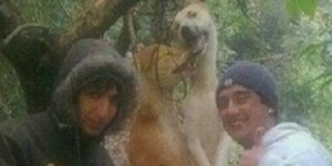 Βασάνισαν και κρέμασαν σκύλους και πόζαραν χαμογελαστοί.