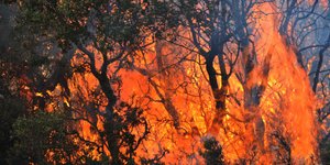 Φωτογραφία Αρχείου: Eurokinissi/Αντώνης Νικολόπουλος