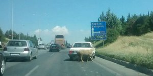 Φωτογραφία: Life-events.gr