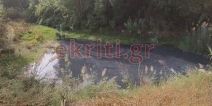 Πηγή φωτογραφίας: ekriti