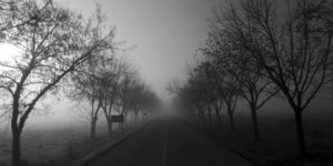 ΦΩΤΟΓΡΑΦΙΑ: EUROKINISSI