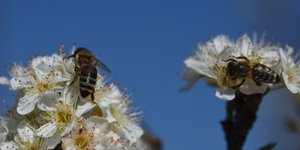 Φωτογραφία Eurokinissi