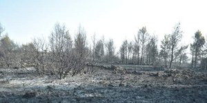 Φωτογραφία: Intime