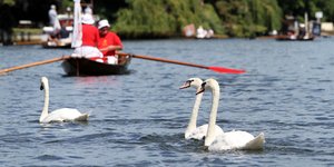Φωτογραφία: AP Photo/Leonora Beck