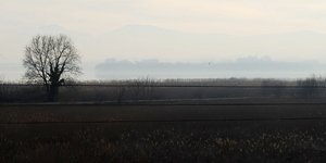 Φωτογραφία αρχείου: IntimeNews/ΠΑΠΠΑ ΠΑΡΑΣΚΕΥΗ