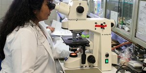 Ανέλυσαν γενετικά πάνω από 7.600 όγκους
