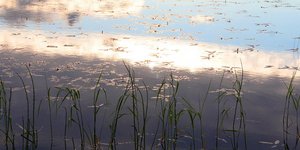 φωτογραφία: pixabay.com