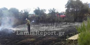 Φωτιά Φθιώτιδα/ Φωτογραφία lamiareport