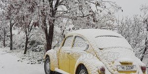 χιόνια στη Φθιώτιδα/Φωτογραφία: lamiareport.gr