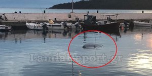 Αχλάδι: Αυτοκίνητο έπεσε στη θάλασσα