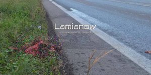 ΦΩΤΟΓΡΑΦΙΑ: lamianow.gr