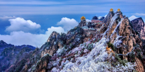 Ο πνεύμονας της Κίνας: Αυτό είναι το βουνό όπου συλλέγουν και συσκευάζουν φρέσκο