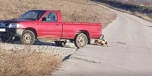 Λάρισα: Ποινή φυλάκισης 2 ετών και 7.000 πρόστιμα σε 75χρονο που έσερνε σκύλο με το αγροτικό του  /Φωτογραφία: Οnlarissa.gr