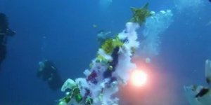 Στόλισαν το ναυάγιο Ζηνοβία