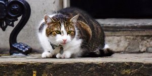 ΦΩΤΟΓΡΑΦΙΑ: Steve Back/Barcroft Images 