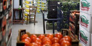 Δέσμευση 723 κιλών οπωροκηπευτικών/Φωτογραφία αρχείου: IntimeNews