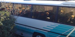 Οδηγός λεωφορείου πάτησε δύο φορές ένα 9χρονο κοριτσάκι!