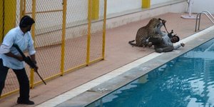 (φωτογραφίες: AFP-Getty Images)