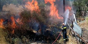 ΦΩΤΟΓΡΑΦΙΑ: lesvosnews.gr