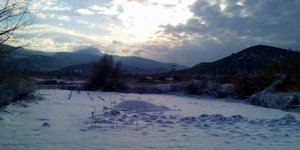 Φωτογραφία: lesvosnews.net