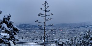 Φωτογραφία: INTIMENEWS/ΚΩΤΣΙΑΡΗΣ ΓΙΑΝΝΗΣ