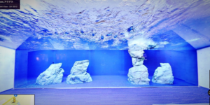 Τα μυστικά του Google Street View: Εκπληκτικές λήψεις που δεν ξέρατε ότι υπάρχου