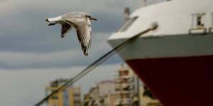 Λουκέτο στα λιμάνια βάζουν το πρωί οι λιμενεργάτες