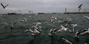 Φωτογραφία: SOOC/ ΚΩΝΣΤΑΝΤΙΝΟΣ ΤΣΑΚΑΛΙΔΗΣ
