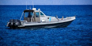 Φωτογραφία: EUROKINISSI/RODOSPRESS.GR/ΑΡΓΥΡΗΣ ΜΑΝΤΙΚΟΣ