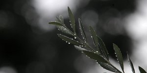 Φωτογραφία: EUROKINISSI