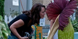 Το μεγαλύτερο λουλούδι του κόσμου άνθισε στη Κίνα μετά από 10 χρόνια [εικόνες]