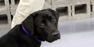 Φωτογραφία: CIA 