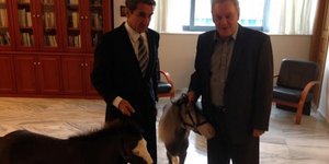 Ο Ανδρέας Λοβέρδος σε απρόσμενη συνάντηση με αλογάκια Πόνυ [εικόνα]