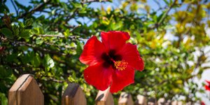 Φωτογραφία: Εurokinissi