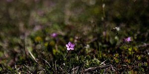 Φωτογραφία: Konstantinos Tsakalidis / SOOC