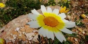 Φωτογραφία: ΚΟΝΤΑΡΙΝΗΣ ΓΙΩΡΓΟΣ EUROKINISSI