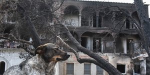 Λύρειο Ιδρυμα/Φωτογραφία: Eurokinissi/ΣΤΕΛΙΟΣ ΜΙΣΙΝΑΣ