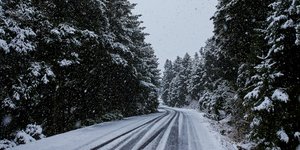 Χιονισμένο Μαίναλο (Φωτογραφία: IntimeNews/ΚΩΝΣΤΑΝΤΟΠΟΥΛΟΣ ΒΑΣΙΛΗΣ)