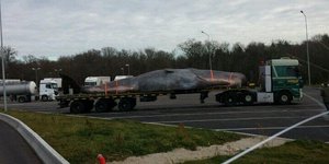 Φάλαινα παραλίγο να προκαλέσει ατυχήματα σε αυτοκινητόδρομο στη Γαλλία -Εξαλλοι