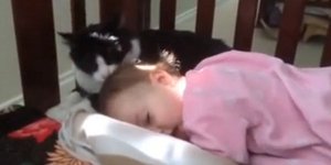 Γάτα κάνει... μπάνιο μωρό και το ίντερνετ λιώνει [βίντεο]
