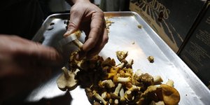 Πέθανε έπειτα από γεύμα με μανιτάρια/ Φωτογραφία αρχείου: AP- Marco Ugarte