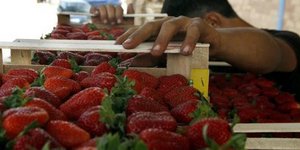 Εκκρεμεί δίκη για παρόμοιο περιστατικό για έναν από τους πιστολάδες της Μανωλάδα