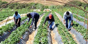 ΦΩΤΟΓΡΑΦΙΑ ΑΡΧΕΙΟΥ: EUROKINISSI