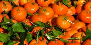 Κατάσχεση μανταρινιών