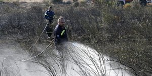 Φωτογραφία: IntimeNews/ΣΤΕΦΑΝΟΥ ΣΤΕΛΙΟΣ